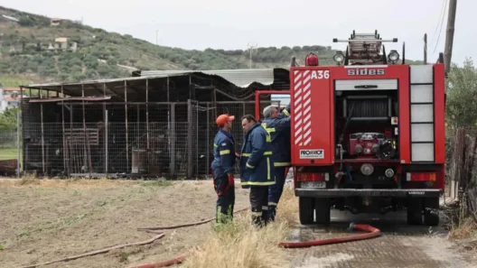 Αγρίνιο: Συνελήφθη 43χρονος για πυρκαγιά 13 Φωτιά σε πυρκαγιά πυροσβεστική