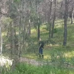 Αχαΐα: «Θρίλερ» με σορό άνδρα σε προχωρημένη σήψη, σε ρέμα
