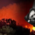 Πάρος: Συνελήφθησαν δήμαρχος και αντιδήμαρχος για τη μεγάλη φωτιά