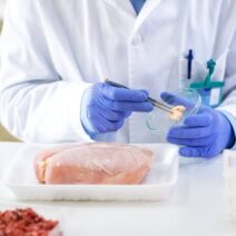 Καστοριά: Συναγερμός για πολλά κρούσματα σαλμονέλας και σε παιδιά 1 Επιστήμονας εξετάζει δείγμα κρέατος σε εργαστήριο για σαλμονέλα.