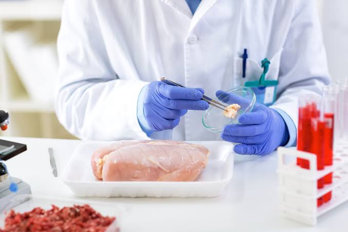 Επιστήμονας εξετάζει δείγμα κρέατος σε εργαστήριο για σαλμονέλα.
