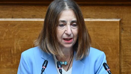 «Εξεύρεση μόνιμης και αξιοπρεπούς λύσης στέγασης του ΕΕΕΕ Αχαΐας» 12 «Εξεύρεση μόνιμης και αξιοπρεπούς λύσης στέγασης του ΕΕΕΕ Αχαΐας»