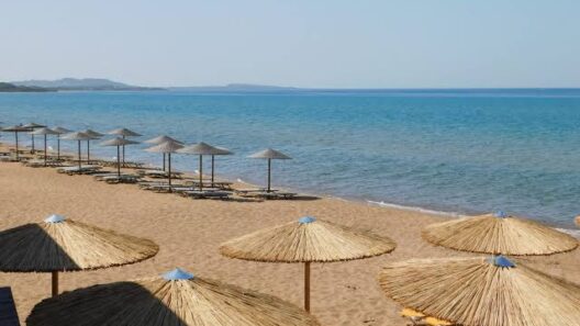 Ηλεία: Παραβίαση σφραγίδων σε κατάστημα παραθαλάσσιας περιοχής