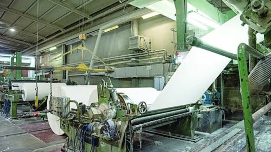 Πάτρα: Πενήντα οικογένειες στα όρια της εξαθλίωσης στην «Πατραϊκή Χαρτοποιία» 16 Πάτρα: Πενήντα οικογένειες στα όρια της εξαθλίωσης στην «Πατραϊκή Χαρτοποιία»