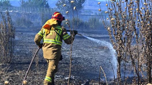 Κέρκυρα: Φωτιά με μεγάλη κινητοποίηση της Πυροσβεστικής