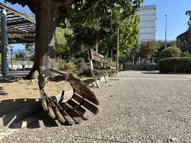Πάτρα: Μηνυτήριες αναφορές για βανδαλισμούς σε κοινόχρηστους χώρους - Λαμβάνει τα μέτρα του ο Δήμος για αυθαιρεσίες 5 Πάτρα: Μηνυτήριες αναφορές για βανδαλισμούς σε κοινόχρηστους χώρους - Λαμβάνει τα μέτρα του ο Δήμος για αυθαιρεσίες
