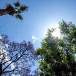 Αχαΐα: Γενικά αίθριος ο καιρός, με άνοδο της θερμοκρασίας