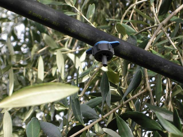 Αιγιάλεια: Αυστηρή απεργόρευση στο πότισμα, αλλά προστίμων