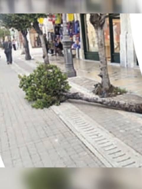 Πάτρα: Μηνυτήριες αναφορές για βανδαλισμούς σε κοινόχρηστους χώρους - Λαμβάνει τα μέτρα του ο Δήμος για αυθαιρεσίες 9 Πάτρα: Μηνυτήριες αναφορές για βανδαλισμούς σε κοινόχρηστους χώρους - Λαμβάνει τα μέτρα του ο Δήμος για αυθαιρεσίες