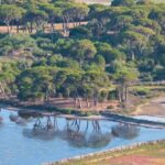 Στροφυλιά: Στο ιερό real estate της Εκκλησιαστικής περιουσίας