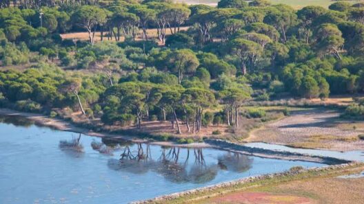 Αχαΐα: Στο ιερό real estate των €15 δισ. με την εκκλησιαστική περιουσία στην Στροφυλιά