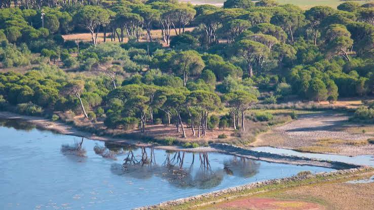 Αχαΐα: Στο ιερό real estate των €15 δισ. με την εκκλησιαστική περιουσία στην Στροφυλιά