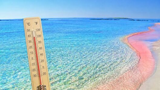 Θερμόμετρο σε παραλία με ροζ άμμο και γαλάζια νερά, δείχνει υψηλή θ…