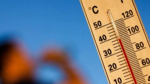 Θερμόμετρο δείχνει υψηλή θερμοκρασία, με τον υδράργυρο να φτάνει τ…