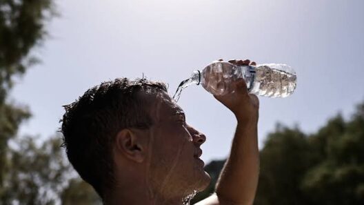 Αχαΐα: Ζέστη και ισχυροί άνεμοι στην περιοχή 17 Αχαια: Ζέστη και ισχυροί άνεμοι στην περιοχή