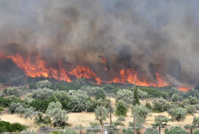 Ελλάδα: Στο έλεος των πυρκαγιών – Η εικόνα σε Αιτωλοακαρνανία, Ευρυτανία, Ρέθυμνο, Βοιωτία, Αργολίδα, Πάρο ΦΩΤΟ - ΒΙΝΤΕΟ