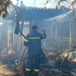 Ελλάδα: Δύσκολη μάχη με τις φλόγες σε όλα τα μέτωπα ΒΙΝΤΕΟ-ΦΩΤΟ