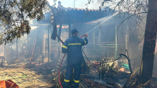 Ελλάδα: Δύσκολη μάχη με τις φλόγες στην Αργολίδα και τη Βοιωτία - Όλα τα μέτωπα ΒΙΝΤΕΟ - ΦΩΤΟ 12 Ελλάδα: Δύσκολη μάχη με τις φλόγες στην Αργολίδα και τη Βοιωτία - Όλα τα μέτωπα ΒΙΝΤΕΟ - ΦΩΤΟ