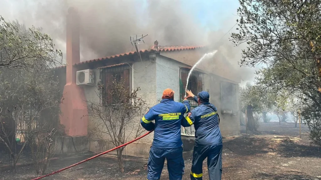 Ελλάδα: Δύσκολη μάχη με τις φλόγες στην Αργολίδα και τη Βοιωτία - Όλα τα μέτωπα ΒΙΝΤΕΟ - ΦΩΤΟ