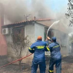 Ελλάδα: Δύσκολη μάχη με τις φλόγες στην Αργολίδα και τη Βοιωτία - Όλα τα μέτωπα ΒΙΝΤΕΟ - ΦΩΤΟ