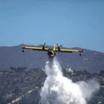 Πύργος: Φωτιά σε δασική έκταση - Μήνυμα από 112
