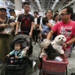 Η άνοδος των «fur babies» αλλάζει την οικονομία της Ιαπωνίας - Τι συμβαίνει