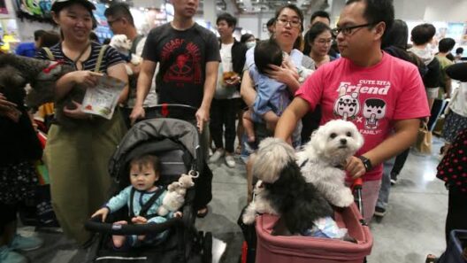 Η άνοδος των «fur babies» αλλάζει την οικονομία της Ιαπωνίας - Τι συμβαίνει