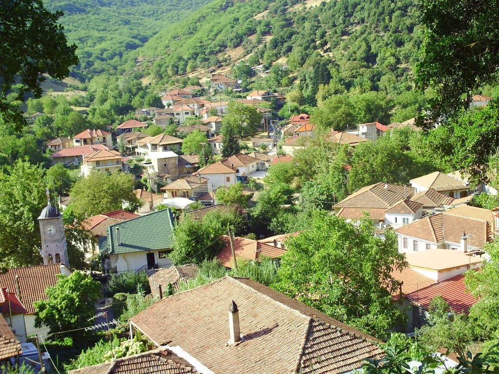Αχαΐα: Η ακρίβεια οδήγησε σε καλοκαιρινές διακοπές όπως παλιά - Ανοίγουν τα πατρικά στα χωριά - Αιρετοί περιγράφουν την κίνηση στο Patrapress