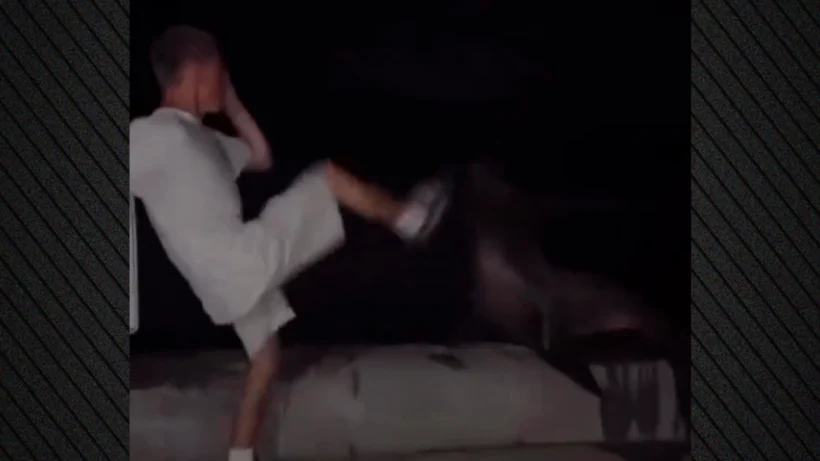 Άνδρας κολυμπάει στη θάλασσα με λέοντες