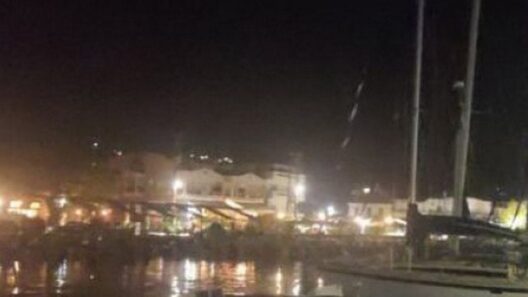 Στυλίδα: Ανήλικες έπεσαν στη θάλασσα να γλιτώσουν από μεθυσμένο που τις παρενοχλούσε 12 Στυλίδα: Ανήλικες έπεσαν στη θάλασσα να γλιτώσουν από μεθυσμένο που τις παρενοχλούσε