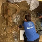 Ιταλία: Ανακαλύφθηκε τάφος πρίγκιπα πολεμιστή 2.500 ετών ΒΙΝΤΕΟ-ΦΩΤΟ