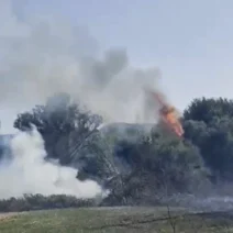 Φωτιά στην Πλαγιά Αιτωλοακαρνανίας ΒΙΝΤΕΟ