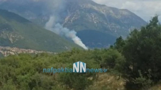 Φωτιά στο Ανθόφυτο Αιτωλοακαρνανίας - Σηκώθηκαν αεροσκάφη και ελικόπτερα ΦΩΤΟ + ΒΙΝΤΕΟ 13 Φωτιά στο Ανθόφυτο Αιτωλοακαρνανίας - Σηκώθηκαν αεροσκάφη και ελικόπτερα ΦΩΤΟ + ΒΙΝΤΕΟ