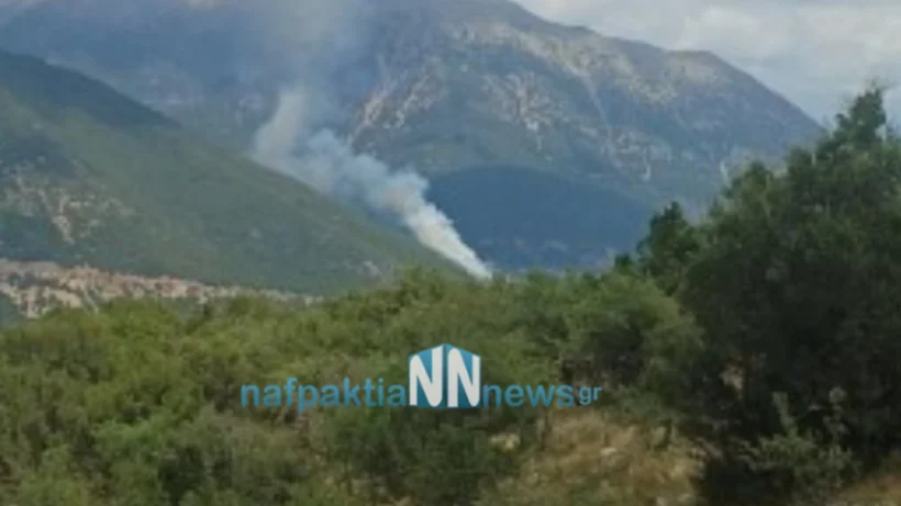Φωτιά στο Ανθόφυτο Αιτωλοακαρνανίας - Σηκώθηκαν αεροσκάφη και ελικόπτερα ΦΩΤΟ + ΒΙΝΤΕΟ