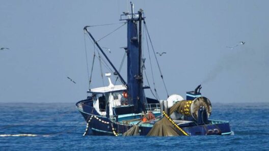 ΠΕΠΙΕΘ - Βάλλης: «Είδαμε τουρκικές μηχανότρατες μέσα στο Αιγαίο» ΒΙΝΤΕΟ 12 Μηχανότρατα στη μέση του Αιγαίου