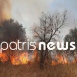 Hλεία: Φωτιά στα Λεχαινά