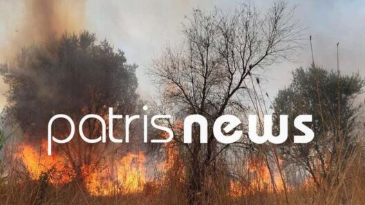 Hλεία: Φωτιά στα Λεχαινά