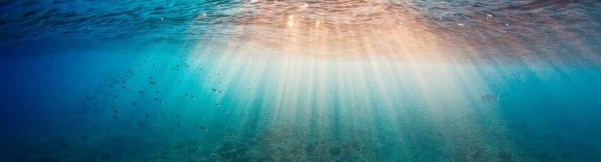 SOS για τη Μεσόγειο: «Βράζουν» τα νερά της θάλασσας - Νέο ρεκόρ θερμοκρασίας τον Ιούνιο