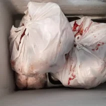 Κατασχεθέντα ακατάλληλα κρέατα σε λευκές πλαστικές σακούλες με αί…
