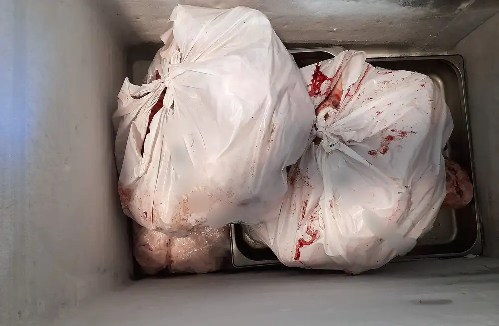 Κατασχεθέντα ακατάλληλα κρέατα σε λευκές πλαστικές σακούλες με αί…