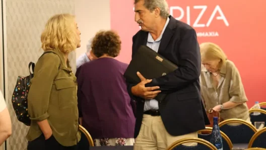 Πολάκης σε συνεδρίαση του Συμβουλίου