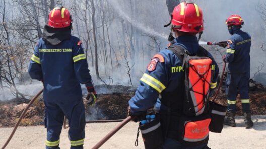Γύθειο: Από Αγρίνιο ο Πυροσβέστης που πέθανε ΦΩΤΟ
