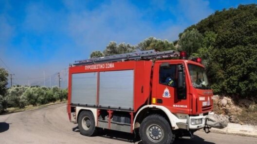 Χαλκιδική: Αυτοκίνητο «καρφώθηκε» σε όχημα της Πυροσβεστικής - Σοβαρά τραυματίας 12 Χαλκιδική: Αυτοκίνητο «καρφώθηκε» σε όχημα της Πυροσβεστικής - Σοβαρά τραυματίας