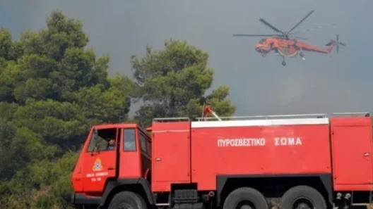Αιτωλοακαρνανία: Σηκώθηκαν αεροσκάφη και ελικόπτερο σε πυρκαγιά 12 Αιτωλοακαρνανία: Σηκώθηκαν αεροσκάφη και ελικόπτερο σε πυρκαγιά