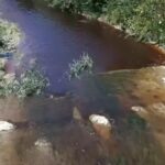 Βάλλης - ΠΕΠΙΕΘ: «Επείγουσα κραυγή αγωνίας για τη θαλάσσια ρύπανση στο Πόρτο Χέλι – Άμεση απειλή για τη δημόσια υγεία» ΒΙΝΤΕΟ