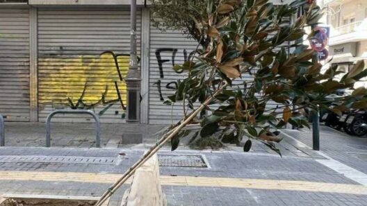 Πάτρα: Τρεις μηνυτήριες αναφορές για βανδαλισμούς σε κοινόχρηστους χώρους - Λαμβάνει τα μέτρα του ο Δήμος για αυθαιρεσίες