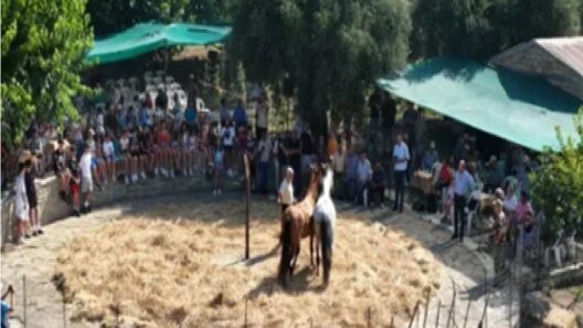 Ναυπακτία: Αναβίωσε το παραδοσιακό αλώνισμα με μνήμες από το παρελθόν ΒΙΝΤΕΟ 19 Ναυπακτία: Αναβίωσε το παραδοσιακό αλώνισμα με μνήμες από το παρελθόν ΒΙΝΤΕΟ