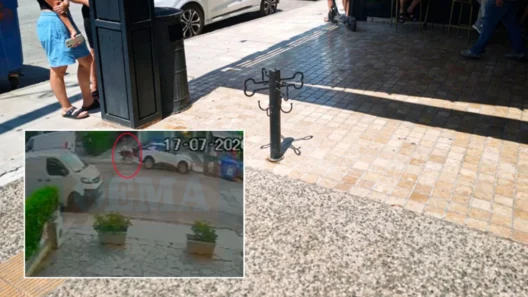 Βριλήσσια: Ο ισχυρισμός του 66χρονου που δέχθηκε επίθεση από λυκόσκυλο 12 Βριλήσσια: Ο ισχυρισμός του 66χρονου που δέχθηκε επίθεση από λυκόσκυλο