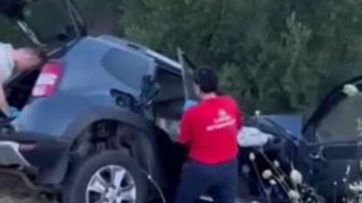Χαλκιδική: Διασωληνωμένη η 7χρονη που έχασε την οικογένειά της σε τροχαίο ΦΩΤΟ - ΒΙΝΤΕΟ
