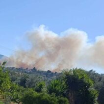 Αιγιάλεια: Φωτιά κοντά σε σπίτια - Πυροσβεστική και από την Πάτρα ΦΩΤΟ 1 Αιγιάλεια: Φωτιά κοντά σε σπίτια - Πυροσβεστική και από την Πάτρα ΦΩΤΟ